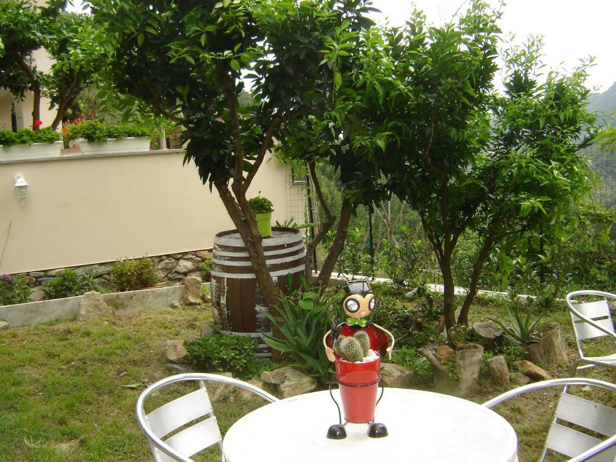 La Dolce Vita B&B Noli Bagian luar foto