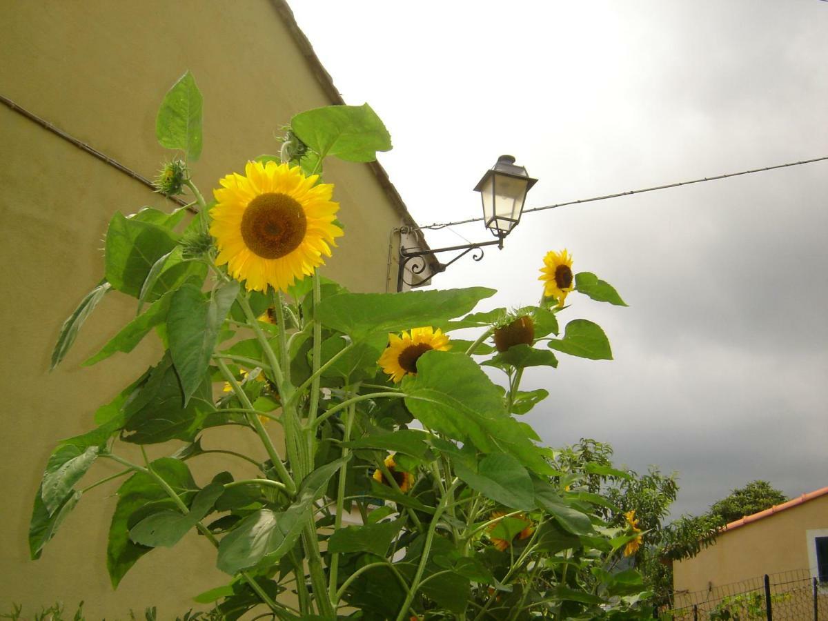 La Dolce Vita B&B Noli Bagian luar foto