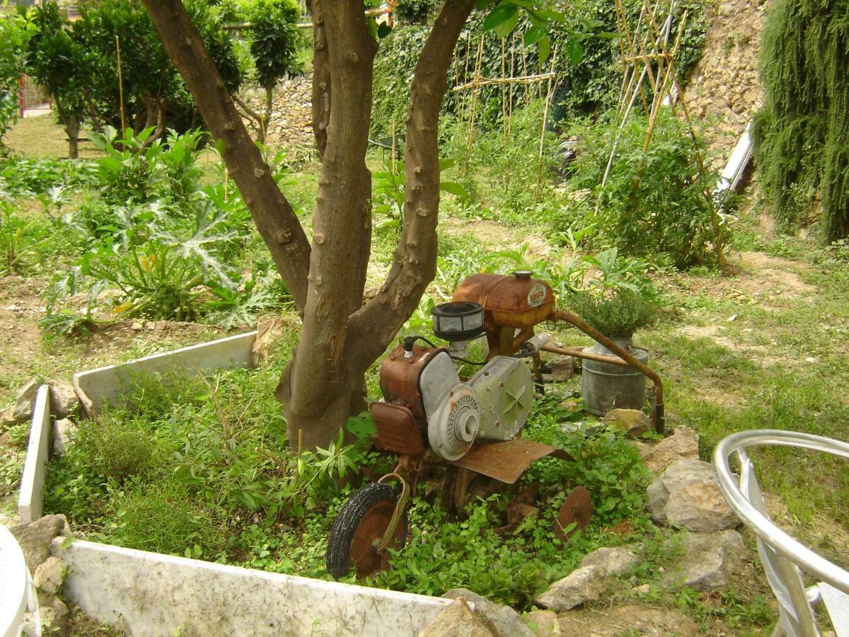 La Dolce Vita B&B Noli Bagian luar foto